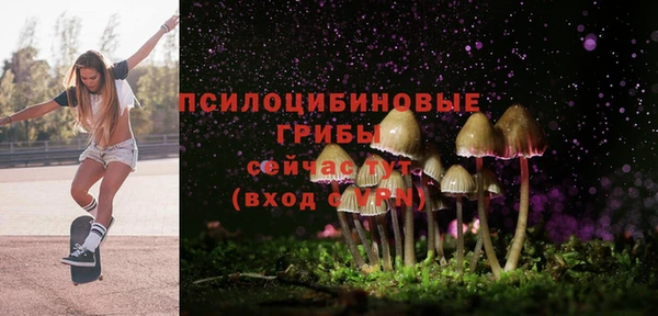эйфоретик Вязники
