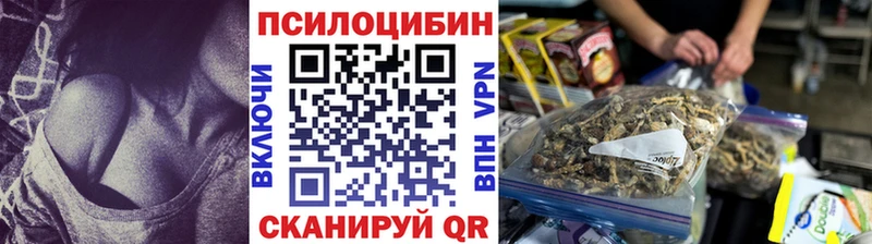 Псилоцибиновые грибы Cubensis  Железногорск-Илимский 